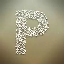 whatsapp dp p